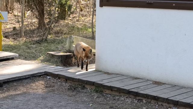 VID_20250320_142548-22