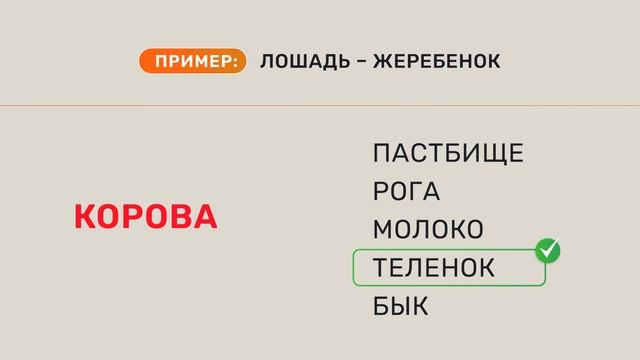 Занятие 6 смотреть онлайн