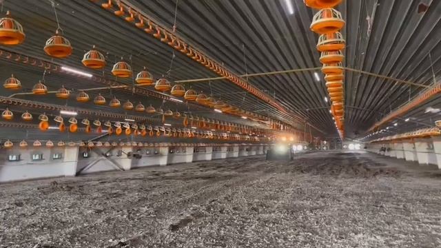 XCMG телескопический погрузчик xc6-3007k смотреть онлайн