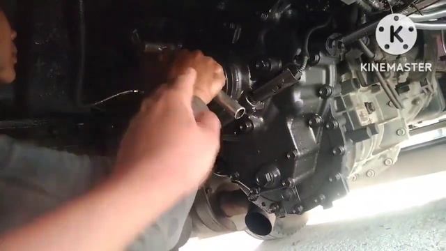 Replace Transmission oil seal смотреть онлайн