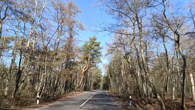 VID_20250320_142006-20