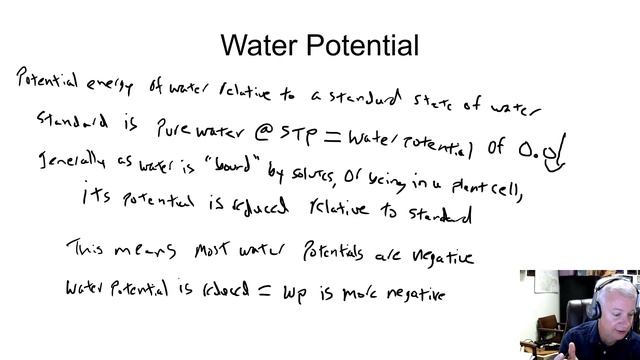 Water relations 1A - importance of water, components of water potential смотреть онлайн