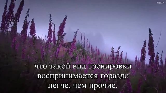 Пробежку предложили заменить прыжками на батуте — Статья смотреть онлайн