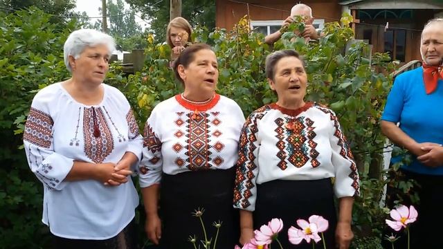 Коломийки на українському весіллі жартівливі пісні баттли смотреть онлайн