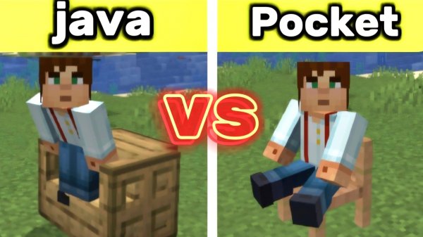 Java VS Pocket Edition | Minecraft
