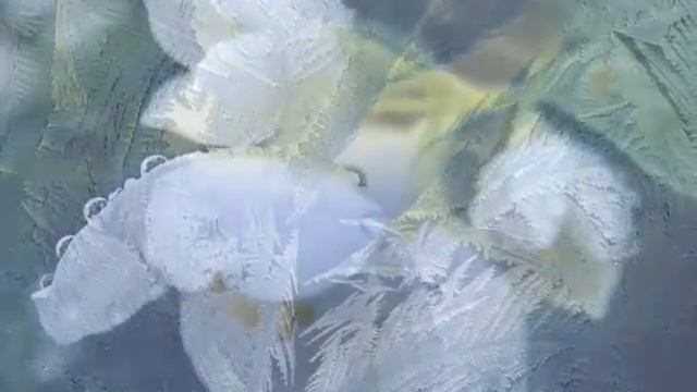 Прикосновение к чуду (music by Sri Chinmoy) смотреть онлайн