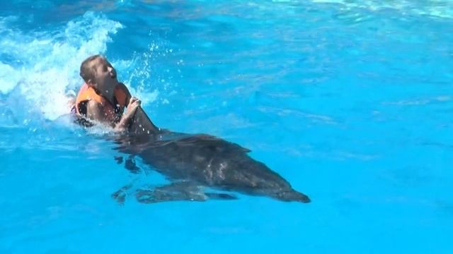 Варю уносит дельфин смотреть онлайн