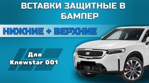 Защитные вставки в нижнюю решетку переднего бампера Knewstar 001