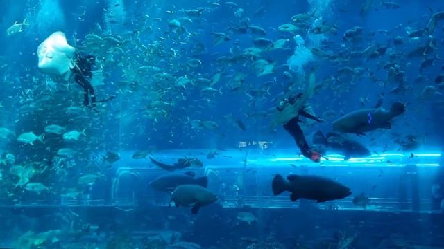 Парк развлечений Vinwonders и Vinperl Safari на острове Фукуок.