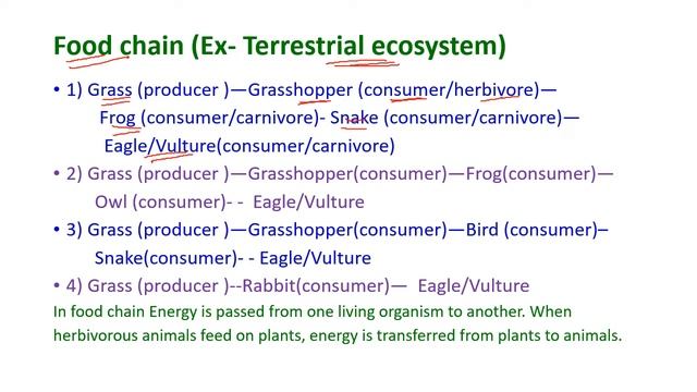 EVS Unit-2 Ecosystems Energy flow- Ecological succession, Foodchains, Foodwebs Ecological pyramids смотреть онлайн