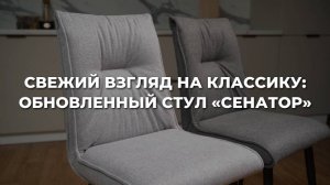 СВЕЖИЙ ВЗГЛЯД НА КЛАССИКУ: ОБНОВЛЕННЫЙ СТУЛ «СЕНАТОР»