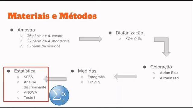 Mor #1: Variáveis quantitativas do báculo: Distinção de duas espécies crípticas de roedores смотреть онлайн