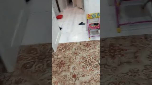 рассказываю как мы с Машей ехали в тальцы