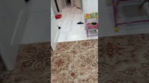 рассказываю как мы с Машей ехали в тальцы