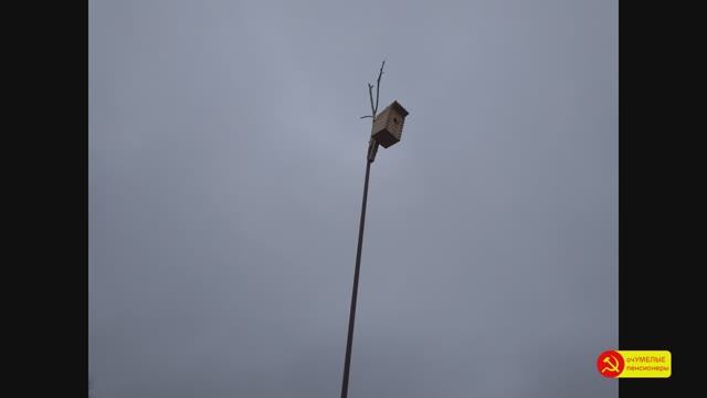 Скворечник на шесте с подъемным механизмом. смотреть онлайн