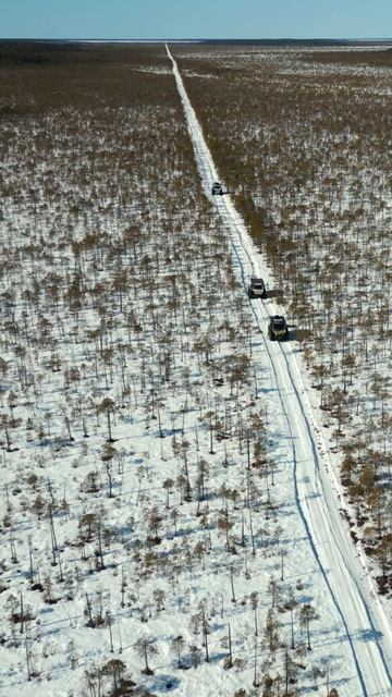 Tracker. смотреть онлайн