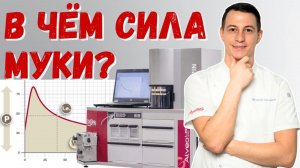 Что такое сила муки?