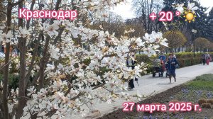 Краснодар - прогулка по весеннему городу - 27 марта 2025 г.