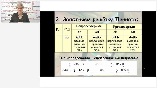 Подготовка к ЕГЭ по биологии 2025 года. Генетика: типы задач на полимерию смотреть онлайн