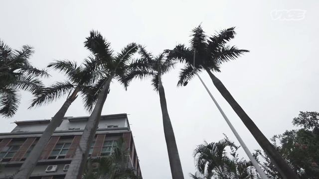 Exploring China's Skate Scene with Wang Huifeng смотреть онлайн