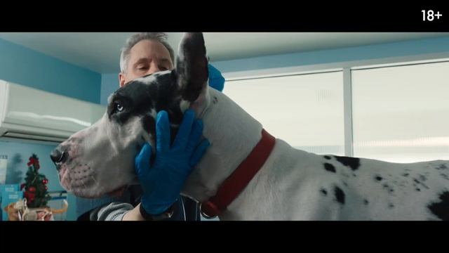 Верный друг - Русский трейлер (2025) смотреть онлайн