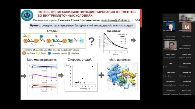 Представление научных руководителей (кафедра биофизики ИФБиБТ СФУ)