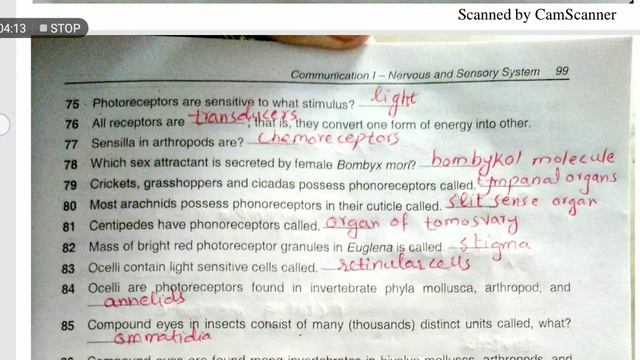 Communication I (fill in the blanks part 2) смотреть онлайн