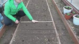 6 соток 26 марта 2025 года. Хроника.