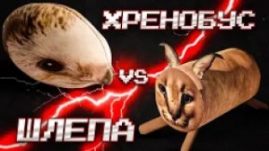 шлёпа против хренобуса / пилот