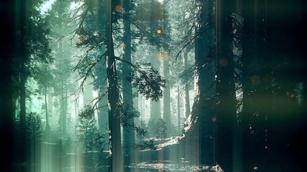 XANDRIA - Two Worlds (Official Video) - Napalm Records