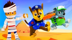 Щенячий патруль нашел МУМИЮ в песочнице!