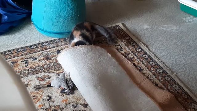 Фенька сама себя развлекает)(2) смотреть онлайн