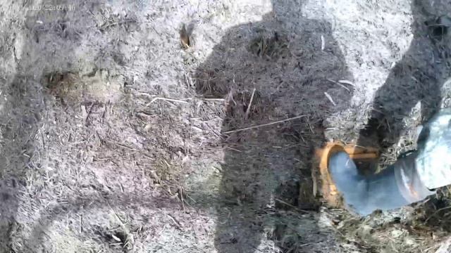 ПОЛЕВОЙ ДНЕВНИК: ФОТООХОТА, ЧАЙ на КОСТРЕ | РЕКА ВЫШЛА из БЕРЕГОВ смотреть онлайн