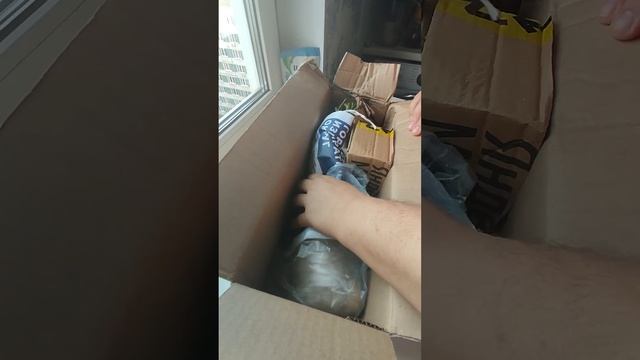 Розы!🌹🌹🌹Из питомника: Розовая клумба!!!!🎉🎉 смотреть онлайн