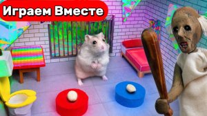 Лабиринт для Хомяка ! Умный Хомяк выбирается из ТЮРЬМЫ С ЛОВУШКАМИ И МОНСТРОМ 🐹