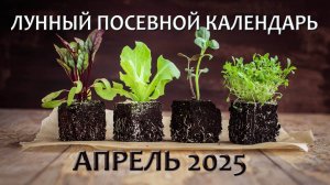 Лунный Посевной Календарь на Апрель 2025