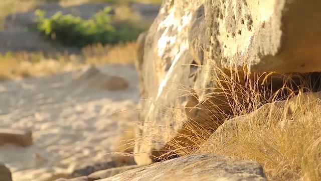 История любви Миши и Маши смотреть онлайн