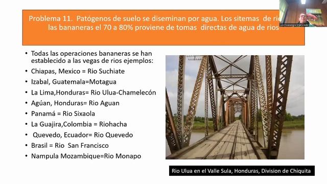 Manejo de Moko y Fusarium R4T en banano y plátano: lecciones aprendidas y retos смотреть онлайн