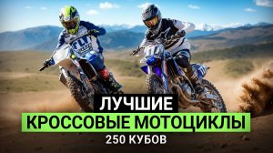 Лучшие 250-кубовые кроссовые мотоциклы. Рейтинг популярных мотоциклов до 200 000 рублей в 2025 году