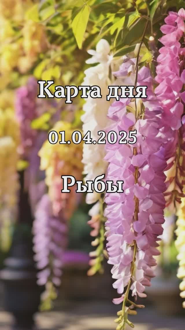 ✨Карта дня 01.04.2025 Рыбы смотреть онлайн