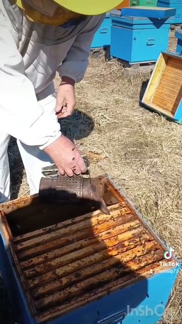 работа началась 🐝🐝🐝 смотреть онлайн