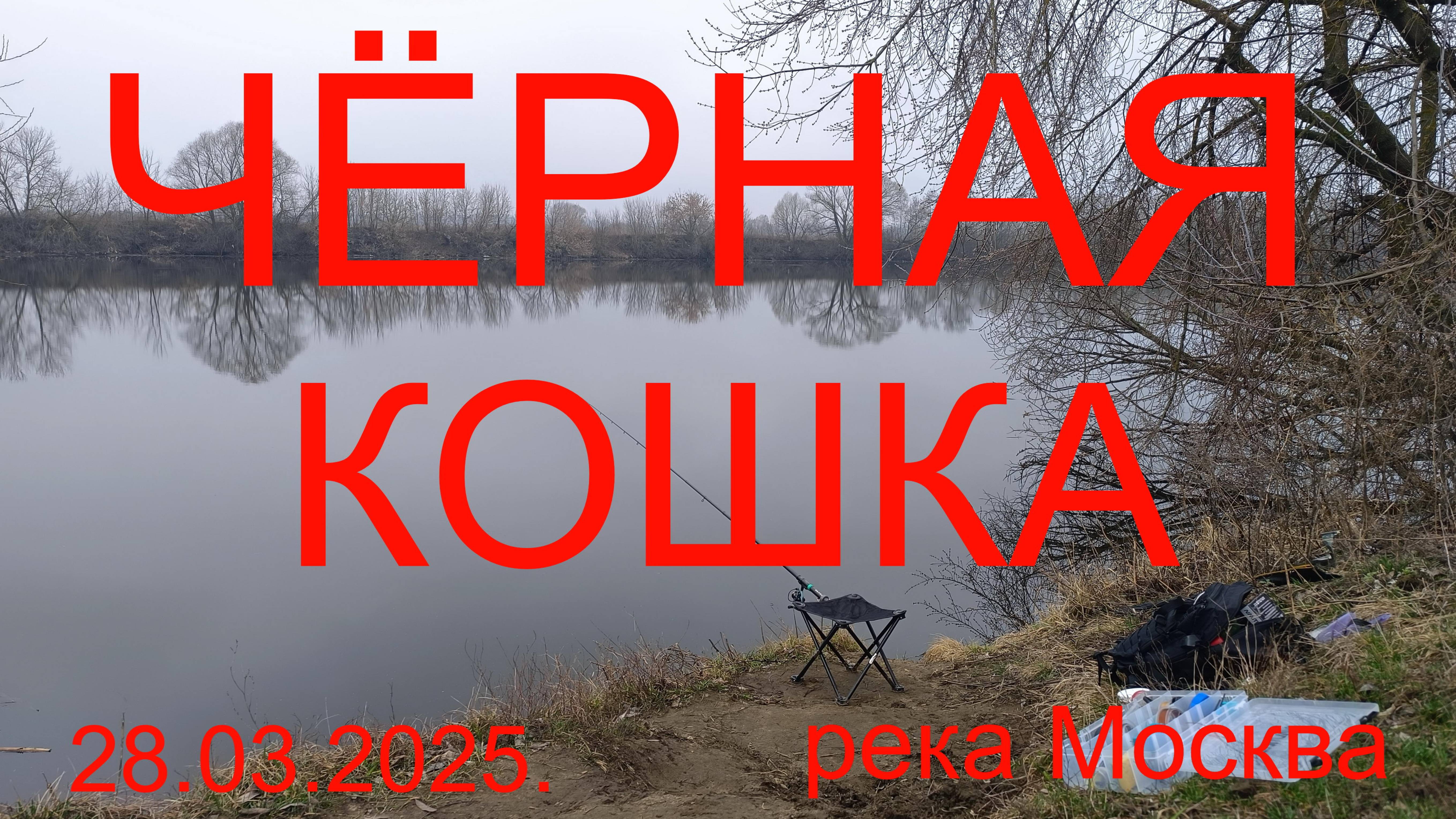 ЧЁРНАЯ КОШКА или БИТВА ПРИМЕТ. 28.03.2025. река Москва. село Марково