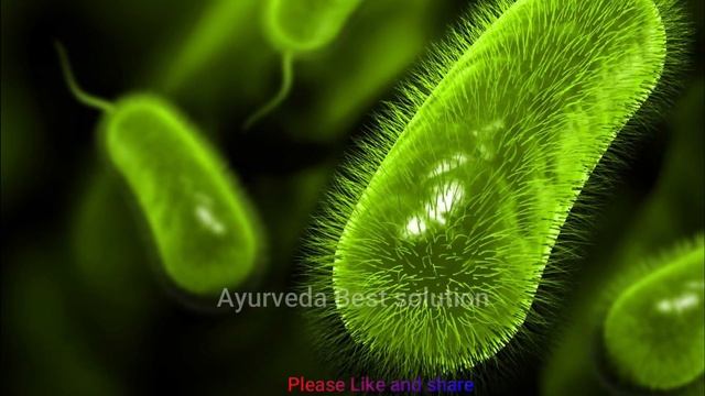 खाली पेट त्रिफला 1 चम्मच 18 भयंकर रोग ख़त्म, कभी नहीं आएगा मोटापा смотреть онлайн