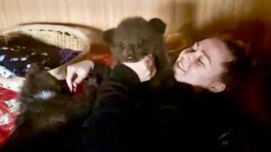 Я пришел домой и увидел МИЛЕЙШУЮ КАРТИНУ! Алина просыпается в объятьях медведей)