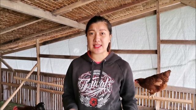 Vlog#5: CERTIFIED BREEDER OF DOMINANT CZ FREE-RANGE CHICKEN смотреть онлайн