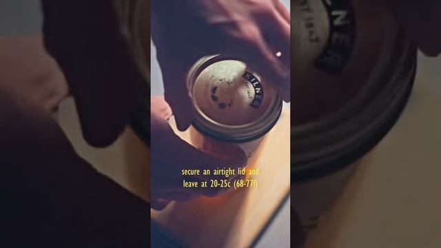 Lacto fermented strawberries and honey смотреть онлайн