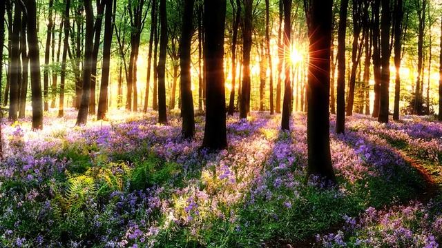 Медитация 16.ts