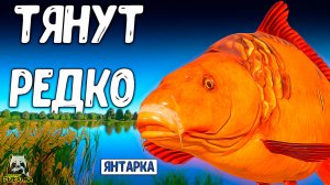 RF4 ОНИ РЕДКИЕ И ПРИХОДЯТ ВНЕЗАПНО НО СМОГУТ ИНОГДА ПОРАДОВАТЬ #рр4