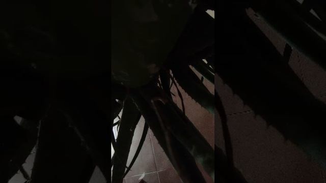 Мама идочка смотреть онлайн