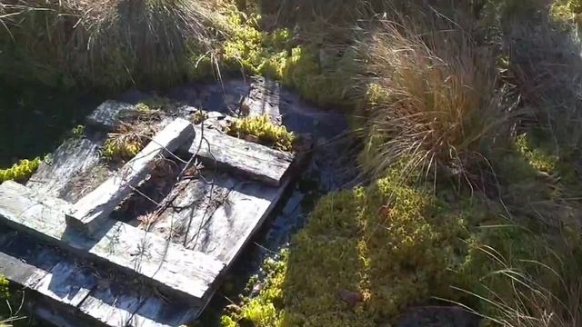 Заезд на охоту. 2023 год.Мой первый фильм , снятый на природе. смотреть онлайн